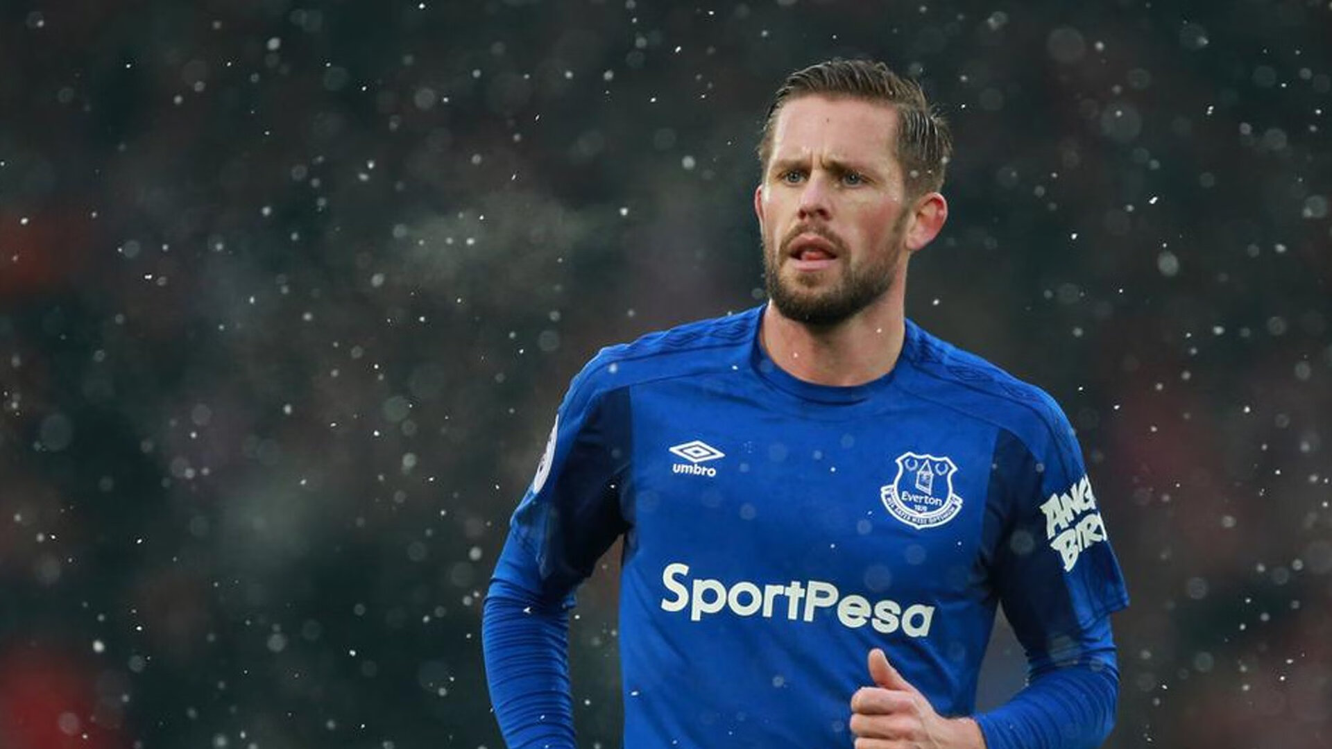 车迷纪实:F1现场的狂热狂欢,f1赛车迷