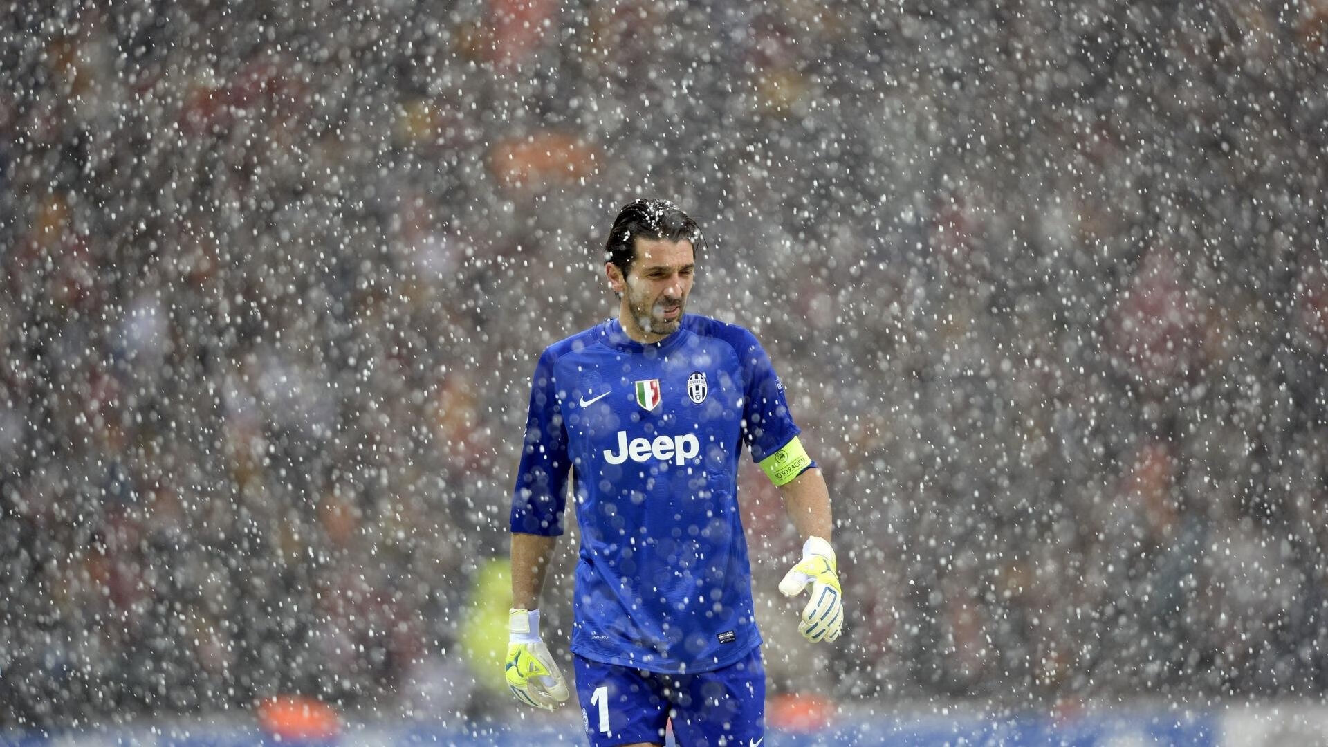 观众互动:看台区气氛火爆,看台区是什么意思